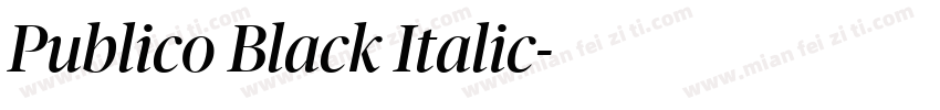 Publico Black Italic字体转换